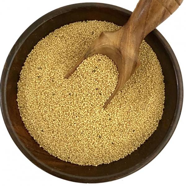 Amaranth (Rajgira)