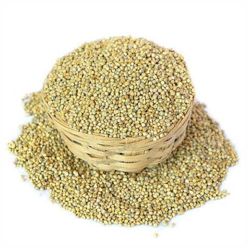 Bajra (Pearl millet)