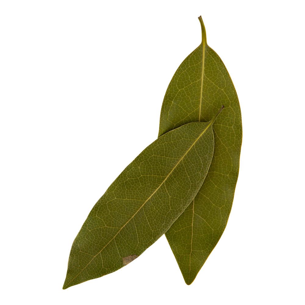 Bay leaf (Tej Patta)