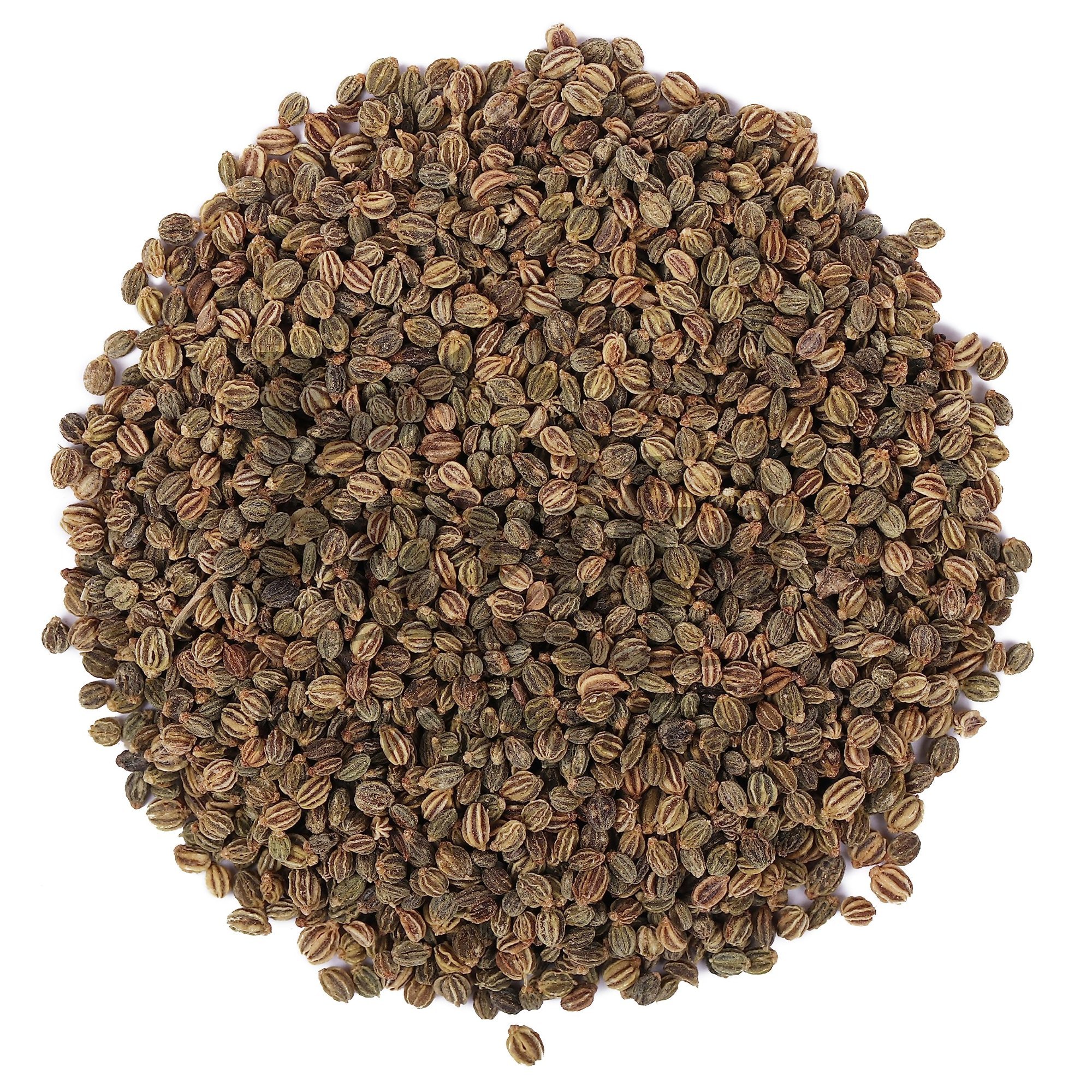 Celery seed