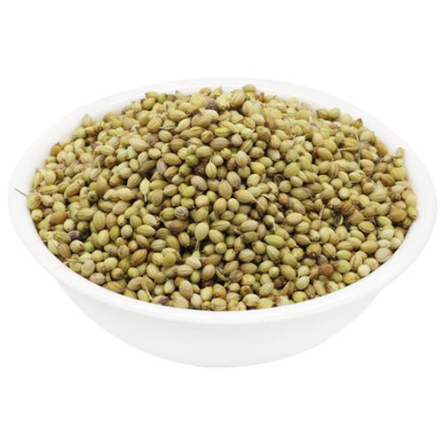 Coriander (Dhania)