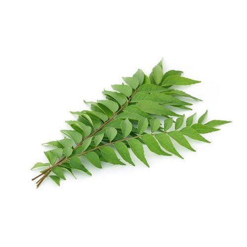 Curry Leaves (Kadi Patta)