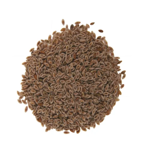 Isabgol (Psyllium husk)