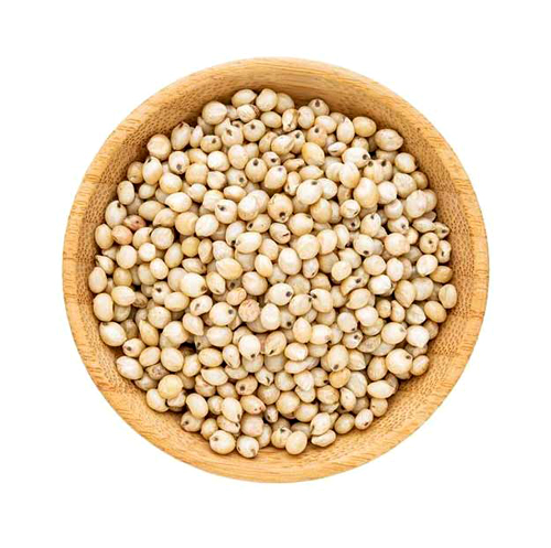 Jowar (Sorghum)