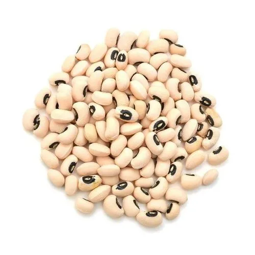 Lobhia (Cowpea)