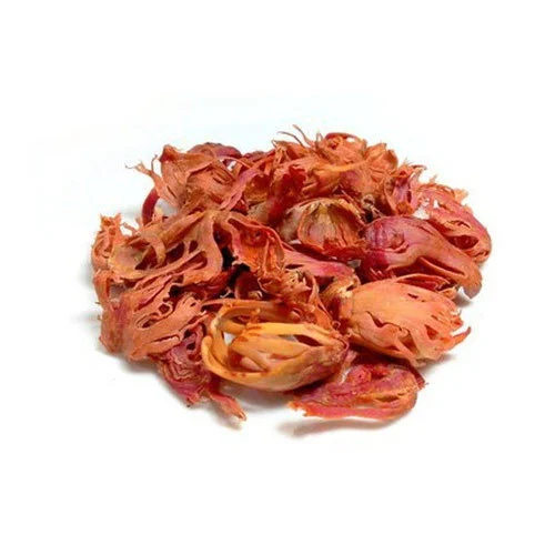 Mace (Javitri)